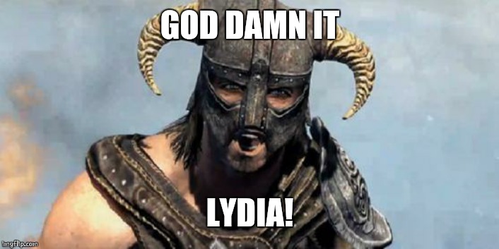 Skyrim | GO***AMN IT LYDIA! | image tagged in skyrim | made w/ Imgflip meme maker