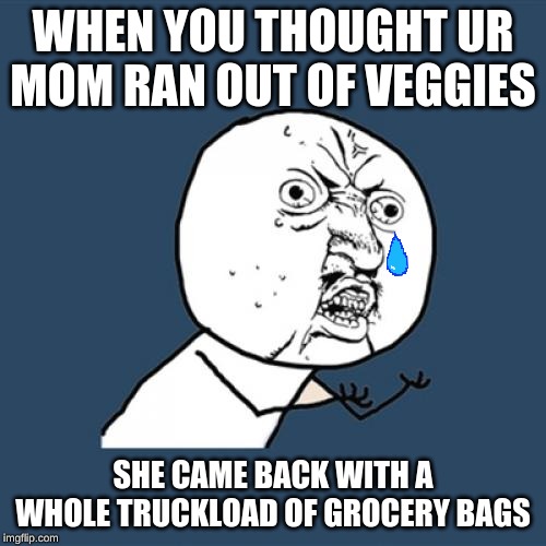 Y U No | WHEN YOU THOUGHT UR MOM RAN OUT OF VEGGIES; SHE CAME BACK WITH A WHOLE TRUCKLOAD OF GROCERY BAGS | image tagged in memes,y u no | made w/ Imgflip meme maker