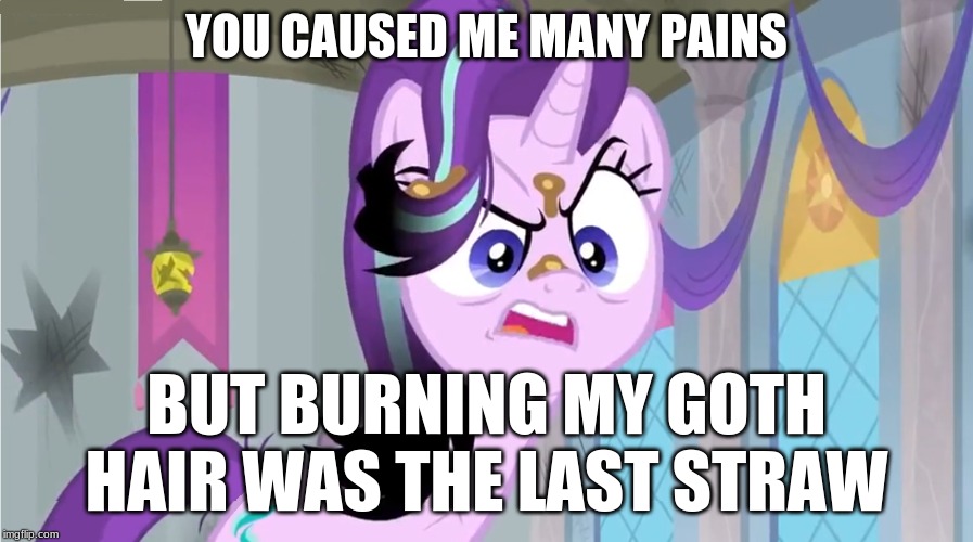 YOU CAUSED ME MANY PAINS; BUT BURNING MY GOTH HAIR WAS THE LAST STRAW | made w/ Imgflip meme maker
