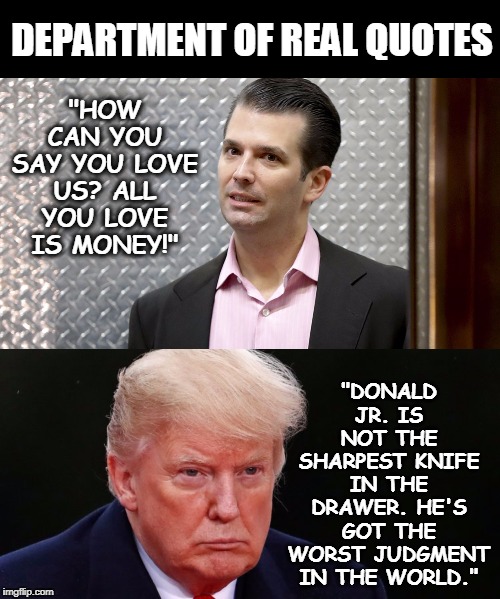 All quotes guaranteed verbatim - "You can't name the kid Don Jr.! What if he's a loser?" | DEPARTMENT OF REAL QUOTES; "DONALD JR. IS NOT THE SHARPEST KNIFE IN THE DRAWER. HE'S GOT THE WORST JUDGMENT IN THE WORLD."; "HOW CAN YOU SAY YOU LOVE US? ALL YOU LOVE IS MONEY!" | image tagged in donald trump jr who thinks he has a future,trump,family values,love,public record | made w/ Imgflip meme maker