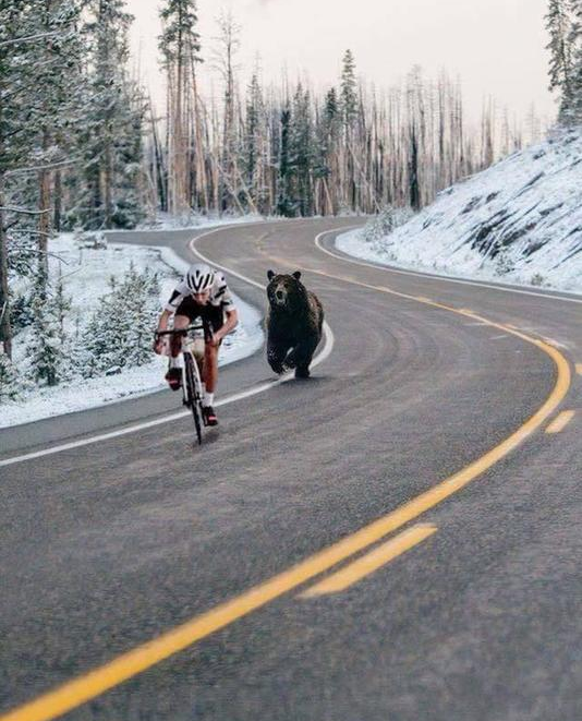 meals on wheels Blank Meme Template