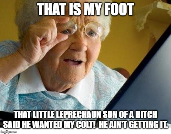 old lady at computer | THAT IS MY FOOT THAT LITTLE LEPRECHAUN SON OF A B**CH SAID HE WANTED MY COLT!  HE AIN'T GETTING IT. | image tagged in old lady at computer | made w/ Imgflip meme maker