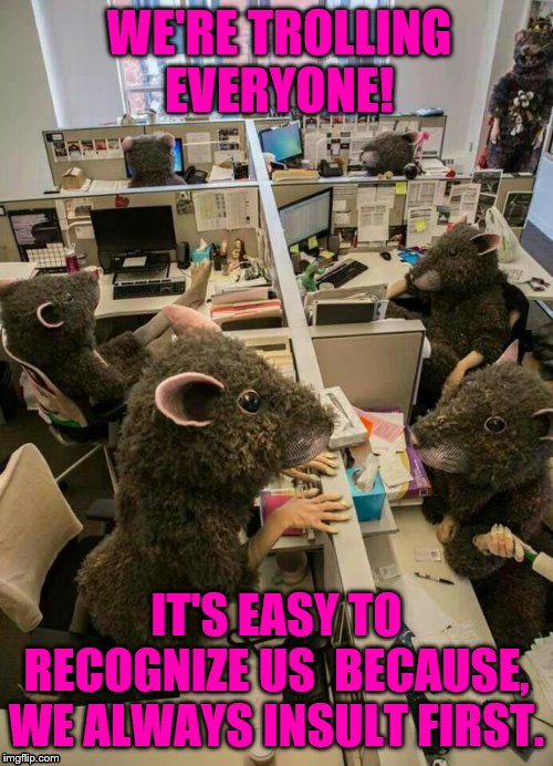 rats mexico | WE'RE TROLLING EVERYONE! IT'S EASY TO RECOGNIZE US  BECAUSE, WE ALWAYS INSULT FIRST. | image tagged in rats mexico | made w/ Imgflip meme maker