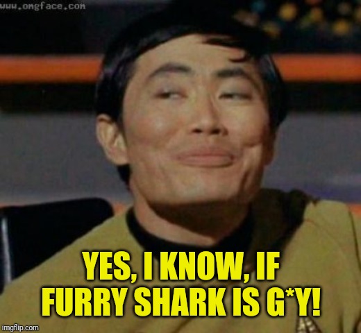sulu | YES, I KNOW, IF FURRY SHARK IS G*Y! | image tagged in sulu | made w/ Imgflip meme maker