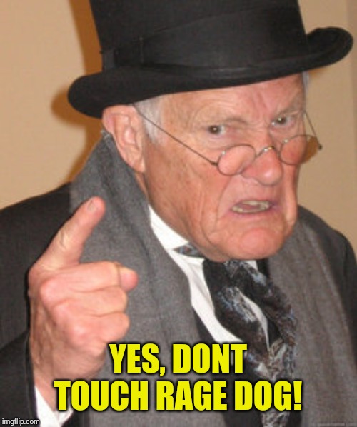 Back In My Day Meme | YES, DONT TOUCH RAGE DOG! | image tagged in memes,back in my day | made w/ Imgflip meme maker