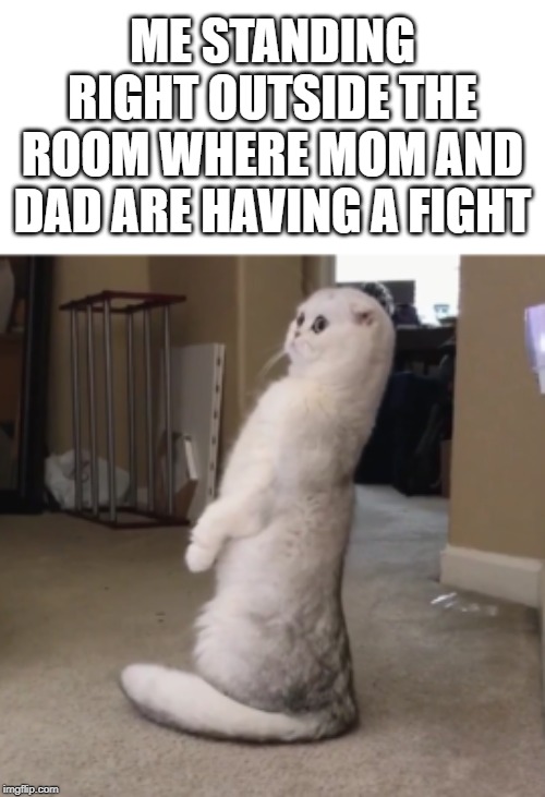 ME STANDING RIGHT OUTSIDE THE ROOM WHERE MOM AND DAD ARE HAVING A FIGHT | image tagged in what's that over there cat | made w/ Imgflip meme maker