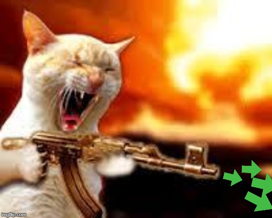 Kitty w/Guns | image tagged in kitty w/guns | made w/ Imgflip meme maker