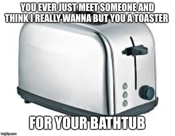Toaster | YOU EVER JUST MEET SOMEONE AND THINK I REALLY WANNA BUT YOU A TOASTER; FOR YOUR BATHTUB | image tagged in toaster | made w/ Imgflip meme maker
