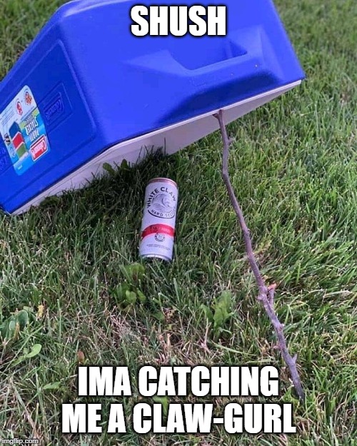 White claws woman | SHUSH; IMA CATCHING ME A CLAW-GURL | image tagged in white claws woman | made w/ Imgflip meme maker
