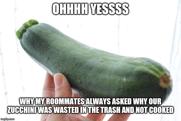 zucchini | OHHHH YESSSS; WHY MY ROOMMATES ALWAYS ASKED WHY OUR ZUCCHINI WAS WASTED IN THE TRASH AND NOT COOKED | image tagged in zucchini | made w/ Imgflip meme maker