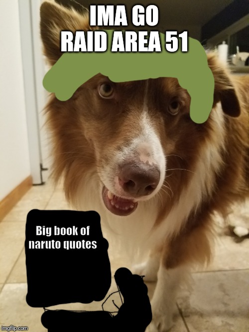 GOOD BOY | IMA GO RAID AREA 51; Big book of naruto quotes | image tagged in good boy | made w/ Imgflip meme maker