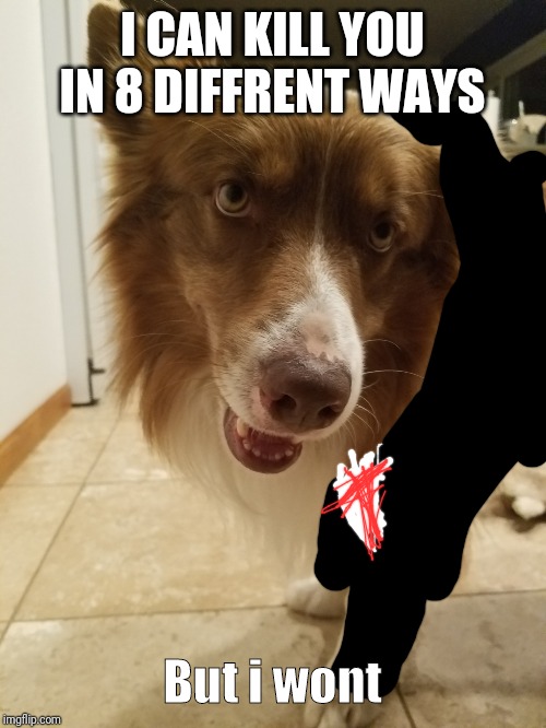 GOOD BOY | I CAN KILL YOU IN 8 DIFFRENT WAYS; But i wont | image tagged in good boy | made w/ Imgflip meme maker