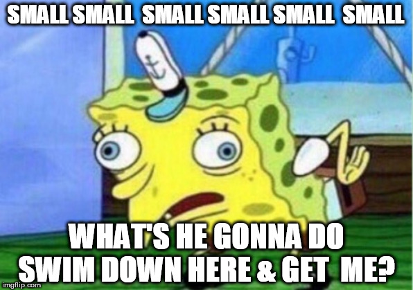 Mocking Spongebob Meme | SMALL SMALL  SMALL SMALL SMALL  SMALL WHAT'S HE GONNA DO SWIM DOWN HERE & GET  ME? | image tagged in memes,mocking spongebob | made w/ Imgflip meme maker