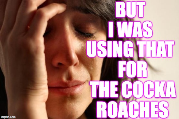 First World Problems Meme | BUT I WAS USING THAT FOR THE COCKA
ROACHES | image tagged in memes,first world problems | made w/ Imgflip meme maker