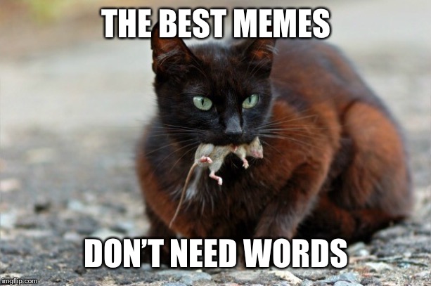 THE BEST MEMES; DON’T NEED WORDS | made w/ Imgflip meme maker