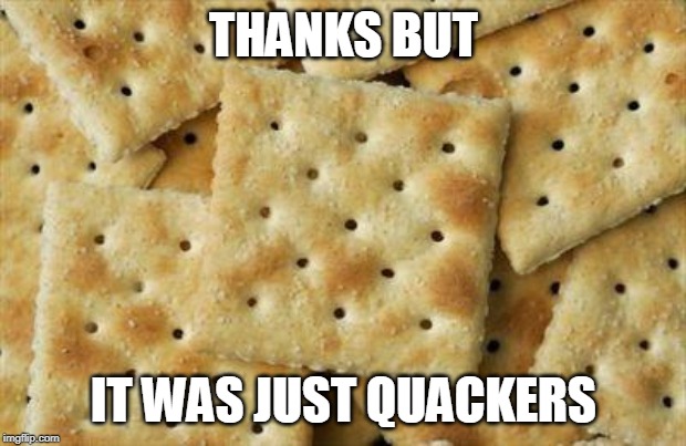 Crackers | THANKS BUT IT WAS JUST QUACKERS | image tagged in crackers | made w/ Imgflip meme maker