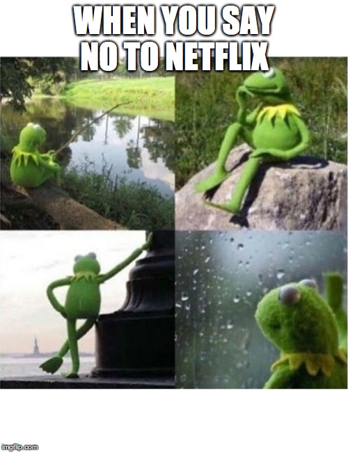 blank kermit waiting | WHEN YOU SAY NO TO NETFLIX | image tagged in blank kermit waiting | made w/ Imgflip meme maker