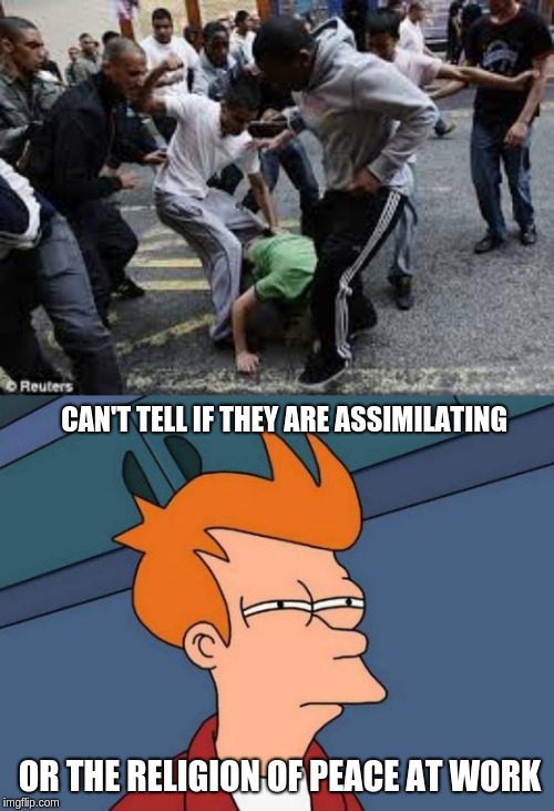 CAN'T TELL IF THEY ARE ASSIMILATING; OR THE RELIGION OF PEACE AT WORK | image tagged in memes,futurama fry | made w/ Imgflip meme maker