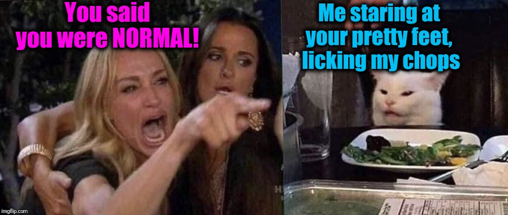 Most of my girlfriends over the years yelling at me | You said you were NORMAL! Me staring at your pretty feet,  licking my chops | image tagged in woman yelling at cat,lol | made w/ Imgflip meme maker