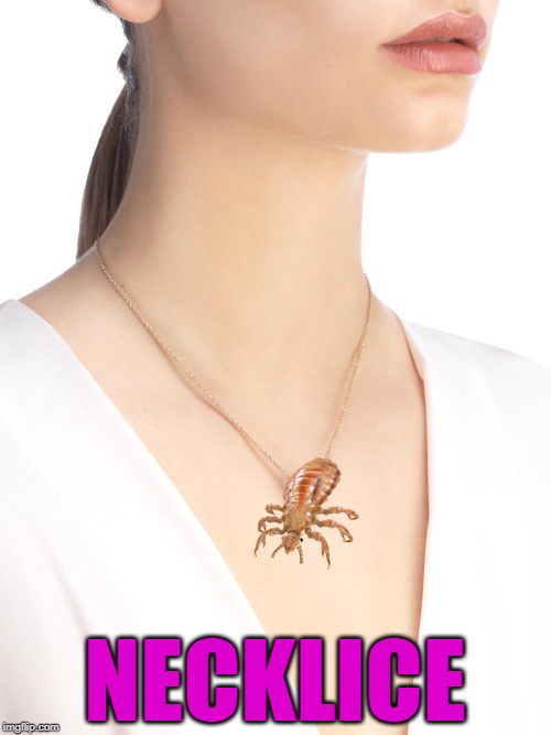 necklice | NECKLICE | image tagged in necklace,lice,gross | made w/ Imgflip meme maker
