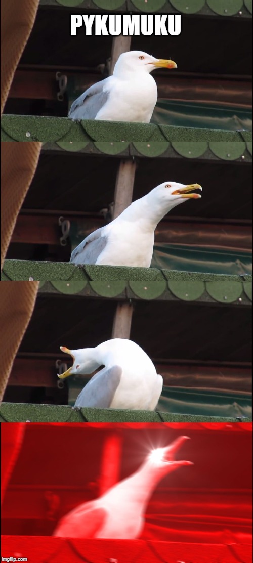 Inhaling Seagull | PYKUMUKU | image tagged in memes,inhaling seagull | made w/ Imgflip meme maker