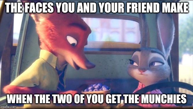 Stoners in Zootopia | THE FACES YOU AND YOUR FRIEND MAKE; WHEN THE TWO OF YOU GET THE MUNCHIES | image tagged in nick wilde and judy hopps half-closed eyes,zootopia,nick wilde,judy hopps,munchies,funny | made w/ Imgflip meme maker