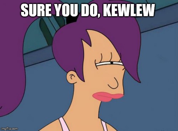 Futurama Leela Meme | SURE YOU DO, KEWLEW | image tagged in memes,futurama leela | made w/ Imgflip meme maker