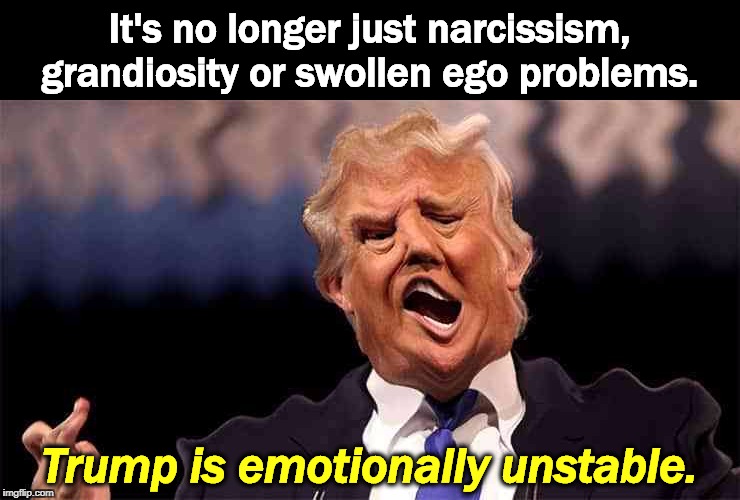 Just what we need, a steady hand on the tiller. | It's no longer just narcissism, grandiosity or swollen ego problems. Trump is emotionally unstable. | image tagged in trump emotionally unstable,trump,ego,narcissism,grandiosity,instability | made w/ Imgflip meme maker