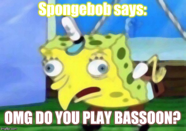 Mocking Spongebob Meme | Spongebob says: OMG DO YOU PLAY BASSOON? | image tagged in memes,mocking spongebob | made w/ Imgflip meme maker