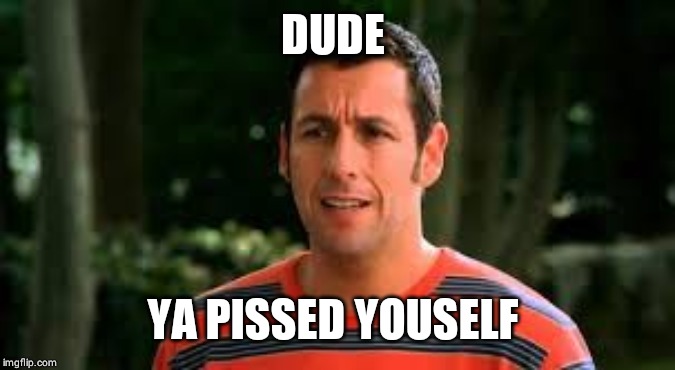 Adam Sandler | DUDE YA PISSED YOUSELF | image tagged in adam sandler | made w/ Imgflip meme maker