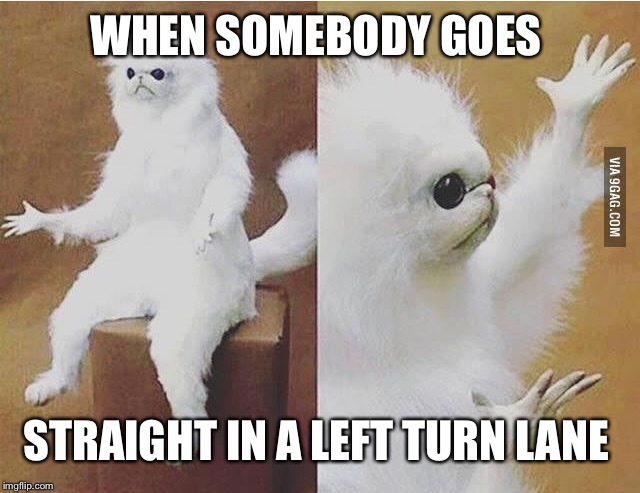 Confused white monkey | WHEN SOMEBODY GOES; STRAIGHT IN A LEFT TURN LANE | image tagged in confused white monkey | made w/ Imgflip meme maker