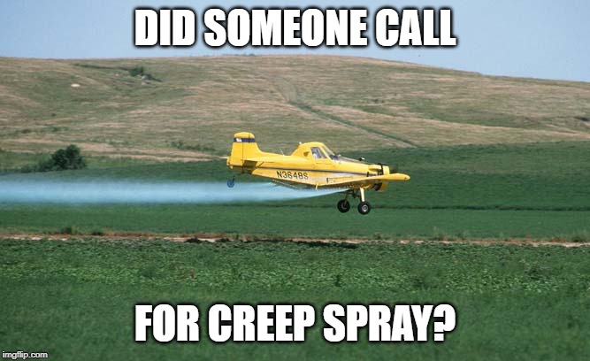 Creep Spray | DID SOMEONE CALL; FOR CREEP SPRAY? | image tagged in pests | made w/ Imgflip meme maker