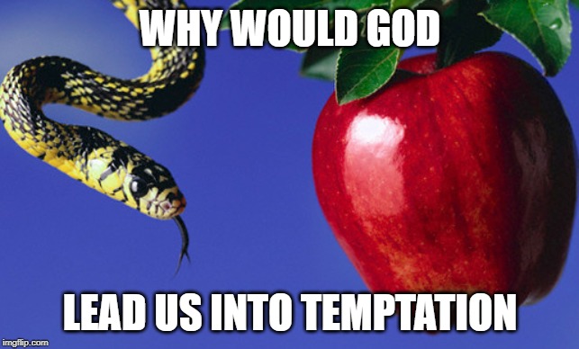 why would god lead us into temptation | WHY WOULD GOD; LEAD US INTO TEMPTATION | image tagged in snake,apple,temptation | made w/ Imgflip meme maker