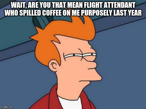 Futurama Fry | WAIT, ARE YOU THAT MEAN FLIGHT ATTENDANT WHO SPILLED COFFEE ON ME PURPOSELY LAST YEAR | image tagged in memes,futurama fry | made w/ Imgflip meme maker
