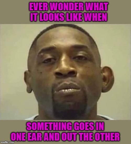 I wonder if wind drag makes him walk in circles. | EVER WONDER WHAT IT LOOKS LIKE WHEN; SOMETHING GOES IN ONE EAR AND OUT THE OTHER | image tagged in in one ear and out the other,memes,unmatching ears,funny,wtf,wind drag | made w/ Imgflip meme maker