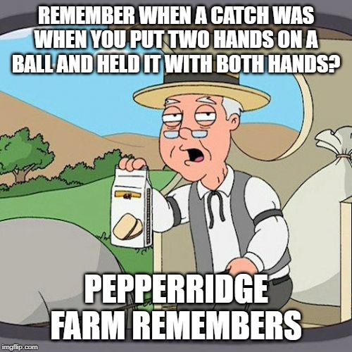 Pepperidge Farm Remembers |  REMEMBER WHEN A CATCH WAS WHEN YOU PUT TWO HANDS ON A BALL AND HELD IT WITH BOTH HANDS? PEPPERRIDGE FARM REMEMBERS | image tagged in memes,pepperidge farm remembers | made w/ Imgflip meme maker