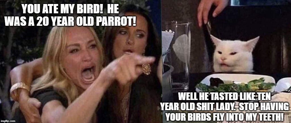 woman yelling at cat | YOU ATE MY BIRD!  HE WAS A 20 YEAR OLD PARROT! WELL HE TASTED LIKE TEN YEAR OLD SHIT LADY.  STOP HAVING YOUR BIRDS FLY INTO MY TEETH! | image tagged in woman yelling at cat | made w/ Imgflip meme maker