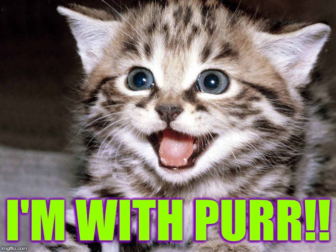 Happy Kitten | I'M WITH PURR!! | image tagged in happy kitten | made w/ Imgflip meme maker