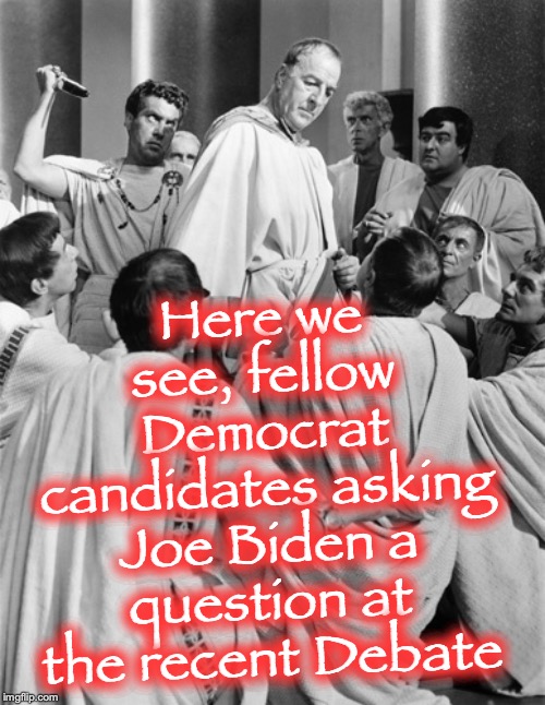Here we see, fellow Democrat candidates asking Joe Biden a question at the recent Debate | image tagged in joe biden,democrats | made w/ Imgflip meme maker