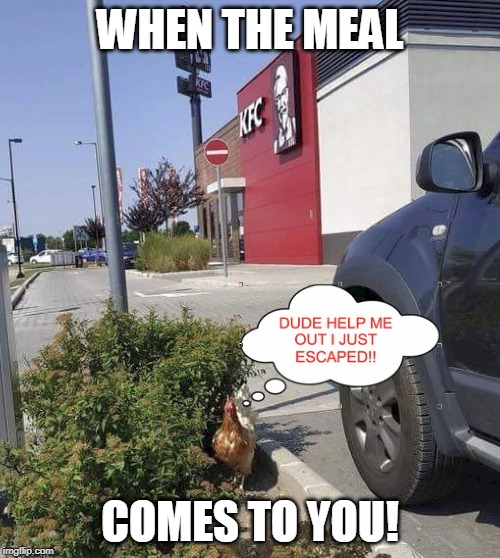 Would you help this poor chicken? | WHEN THE MEAL; COMES TO YOU! | image tagged in funny,meme,kfc | made w/ Imgflip meme maker