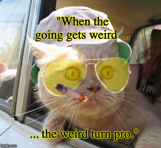Fear And Loathing Cat Meme | "When the going gets weird ... ... the weird turn pro." | image tagged in memes,fear and loathing cat | made w/ Imgflip meme maker