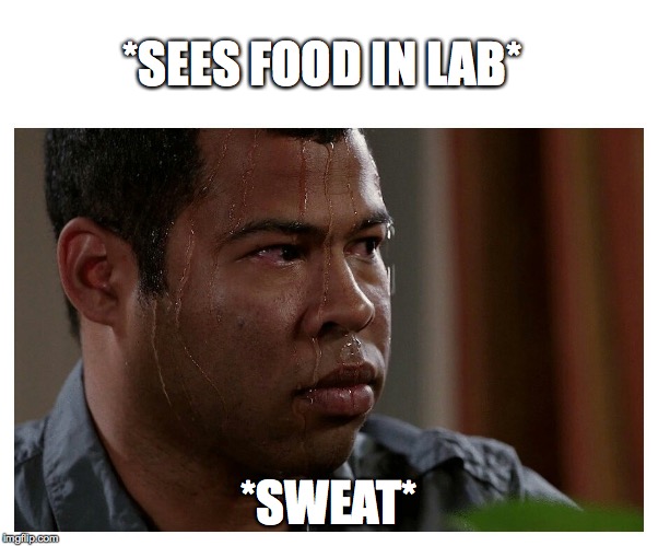 *no eating in lab* | *SEES FOOD IN LAB*; *SWEAT* | image tagged in jordan peele sweating | made w/ Imgflip meme maker