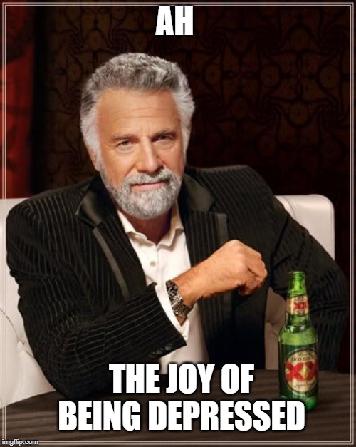 The Most Interesting Man In The World Meme | AH; THE JOY OF BEING DEPRESSED | image tagged in memes,the most interesting man in the world | made w/ Imgflip meme maker