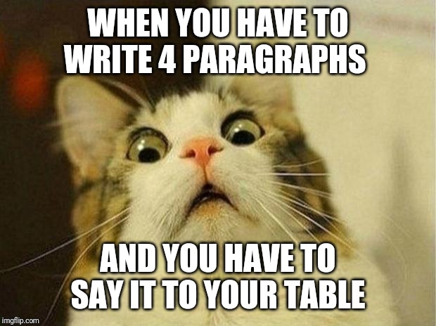 Scared Cat Meme | WHEN YOU HAVE TO WRITE 4 PARAGRAPHS; AND YOU HAVE TO SAY IT TO YOUR TABLE | image tagged in memes,scared cat | made w/ Imgflip meme maker