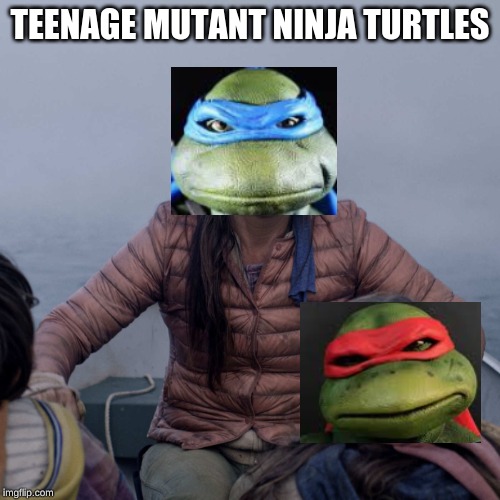 Bird Box Meme | TEENAGE MUTANT NINJA TURTLES | image tagged in memes,bird box | made w/ Imgflip meme maker