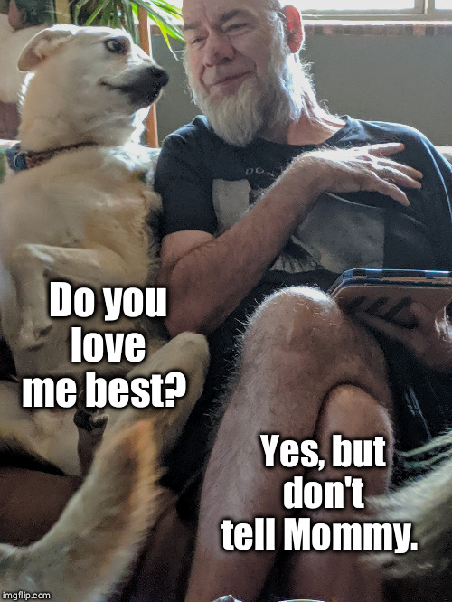 Do you love me best? Yes, but don't tell Mommy. | image tagged in dogs,love | made w/ Imgflip meme maker