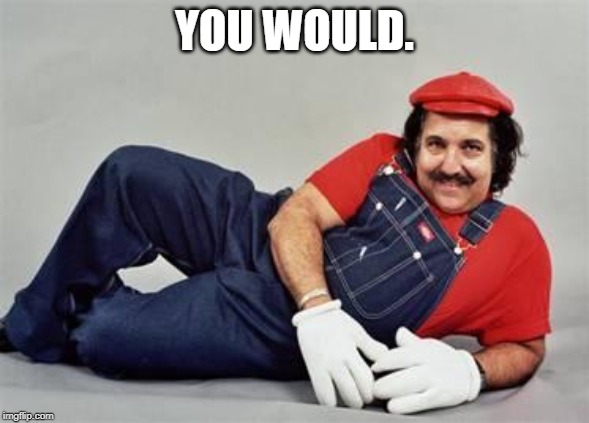 Pervert Mario | YOU WOULD. | image tagged in pervert mario | made w/ Imgflip meme maker