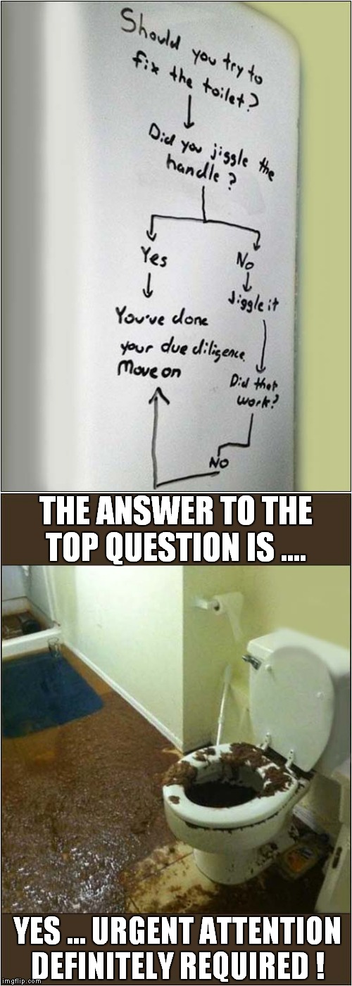 You're Gonna Need A Bigger Sponge - and a Brave Plumber | THE ANSWER TO THE TOP QUESTION IS .... YES ... URGENT ATTENTION DEFINITELY REQUIRED ! | image tagged in fun,graffiti,toilet | made w/ Imgflip meme maker