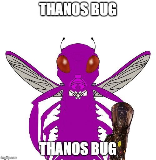 Thanosect | THANOS BUG; THANOS BUG | image tagged in thanos,memes | made w/ Imgflip meme maker