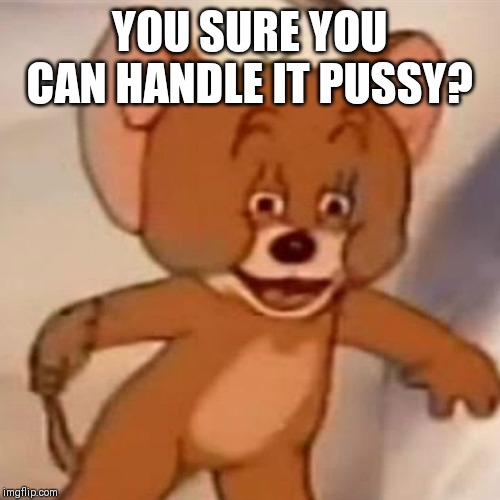 Polish Jerry | YOU SURE YOU CAN HANDLE IT PUSSY? | image tagged in polish jerry | made w/ Imgflip meme maker